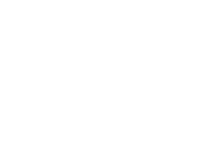 security-landing-icon_0_1